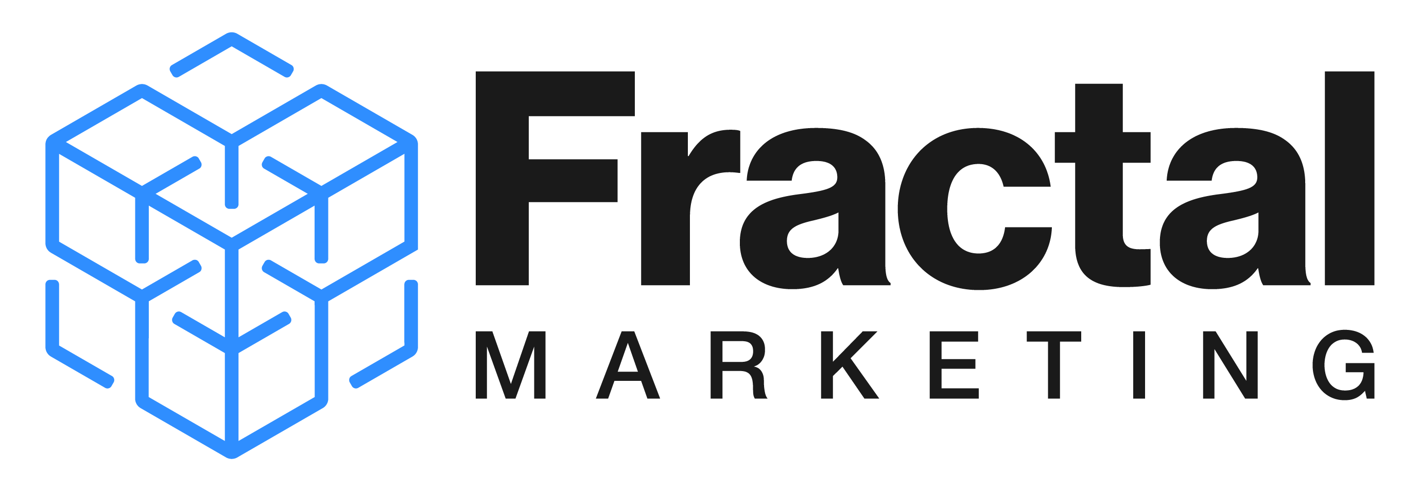 Fractal Marketing