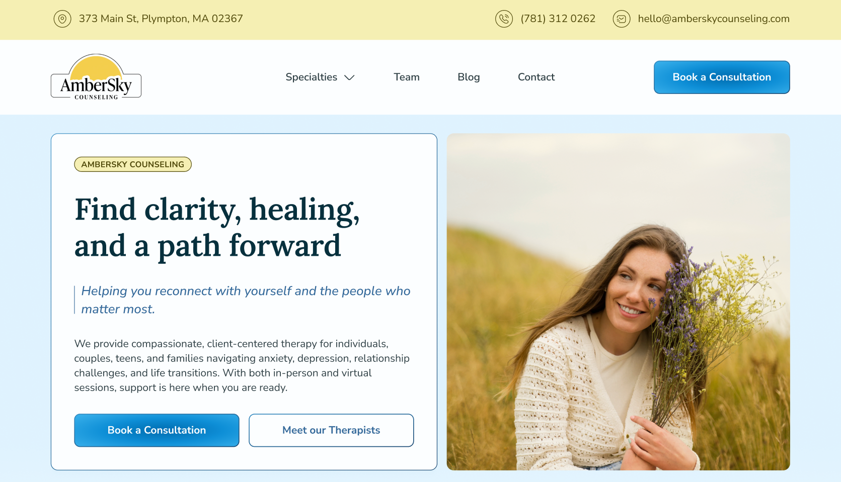 AmberSky Counseling — desktop
